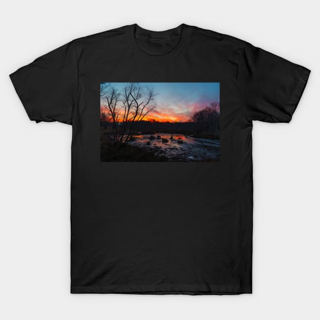 Swamp on Fire T-Shirt by andykazie